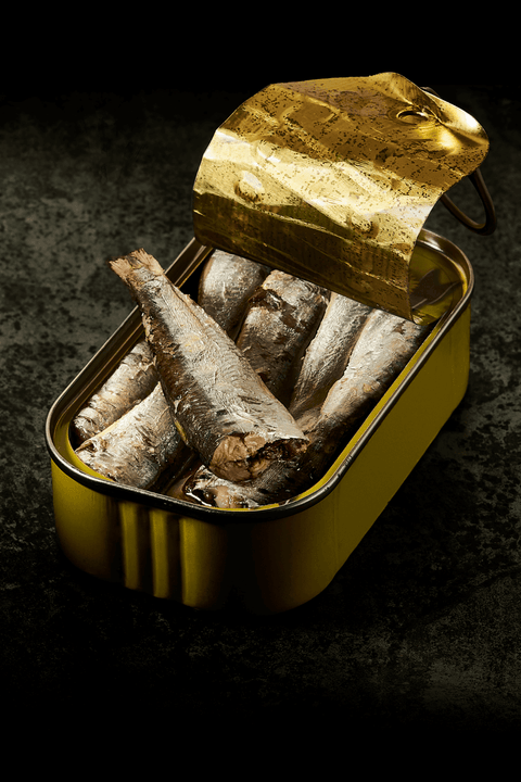 拉脱維亞｜油漬沙丁魚＆煙燻油漬沙丁魚