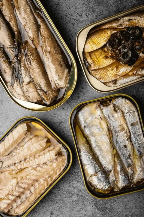 拉脱維亞｜油漬沙丁魚＆煙燻油漬沙丁魚