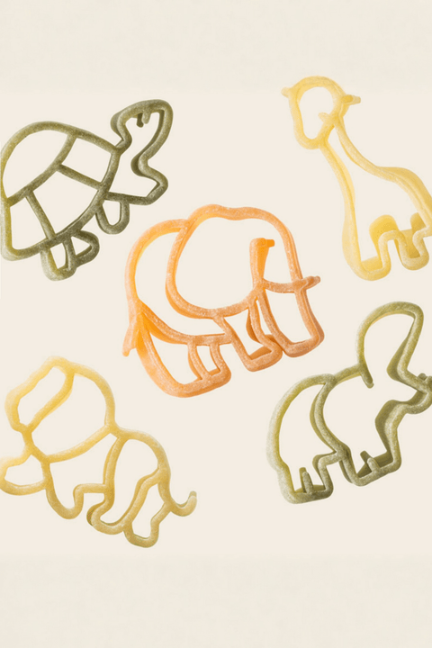 義大利｜蔬菜造型義大利麵